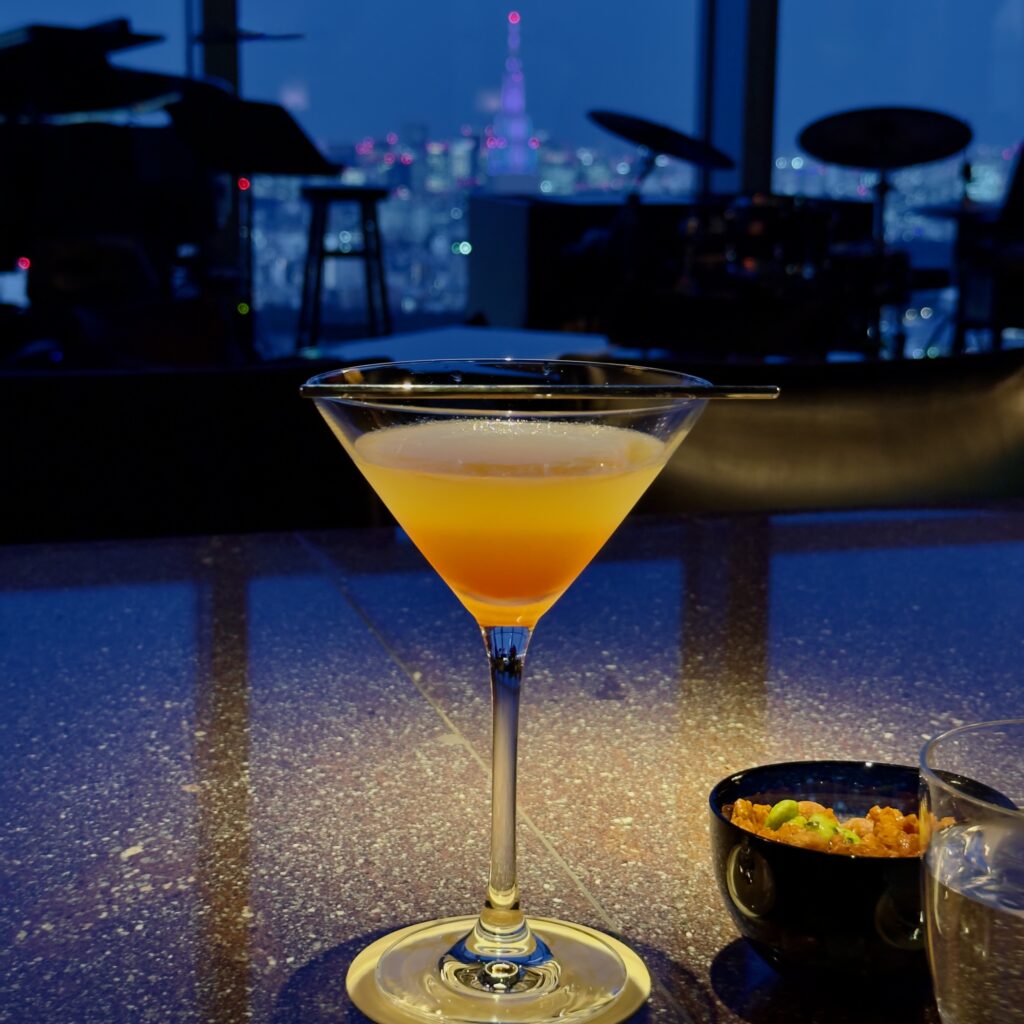 Panoramic Tokyo skyline view from New York Bar on the 52nd floor of the Park Hyatt Tokyo in Shinjuku