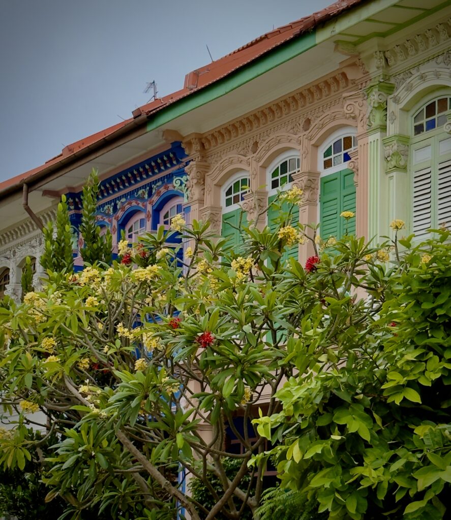 Colorful heritage shophouse homes lining a street in Singapore